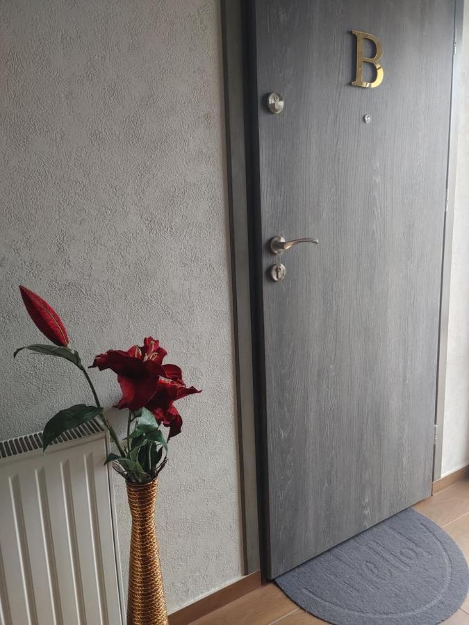 Apartamenty U Zofii Илава Екстериор снимка